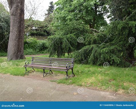Bench In The Park London Stock Photo Image Of Rest 116469896