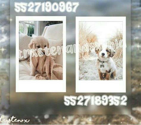 Cute Puppy Polaroid Not Mine Bloxburg Decal Codes Bloxburg Decals