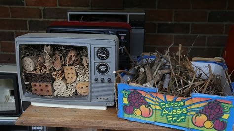 Bee Hotels Made From Recycled Tvs Helping To Attract Native Bees Back