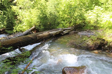 East Creek — Washington Trails Association