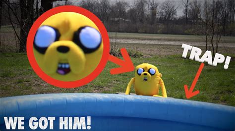 We Captured Jake From Adventure Time Real Life Youtube