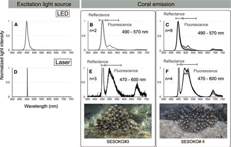 Live Coral Fluorescence Measurements In The Field Excitation Spectra