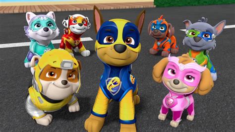 The movie in theatres august 20. PAW PATROL: Mighty Pups (2019) HD streaming - Guarda ITA ...