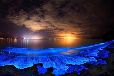 This Glow In The Dark Beach In Maldives Has Sea Of Stars To Swoon You