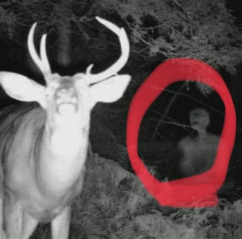 The Scottish Skinwalker Urban Legends And Cryptids Amino