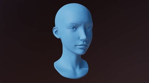 67 Amazing Mannequin Head 3d Model Free Free Mockup