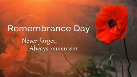 What Is The Significance Of The Poppy On Remembrance Day Terra Crest Property Management
