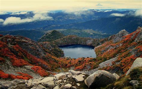 Nature Landscape Mountain Lake Forest Shrubs Chile