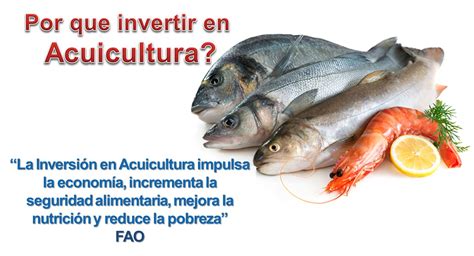 Acuicultura PerÚ La Pesca Y La Acuicultura Sostenibles DesempeÑan Un