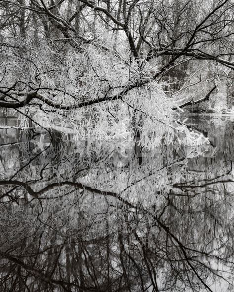River Reflection Photography Art Prints And Posters By Mikael