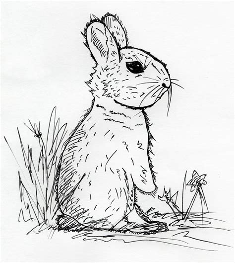 Jared Unzipped Draw Something Bunny Rabbit