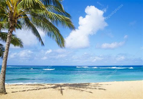 Palm Trees On The Sandy Beach In Hawaii — Stock Photo