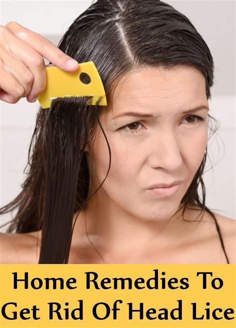 Quick Home Remedies To Get Rid Of Head Lice How To Treat Head Lice