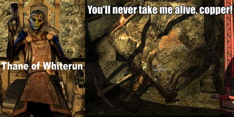 Funniest Skyrim Puns