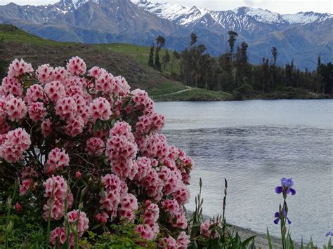 15 Photos That Prove New Zealand Is Perfect In The Spring