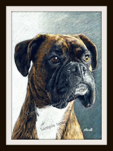 The Portrait Boxer Dog A4 A3 Or A2 Size Limited Edition Print Direct