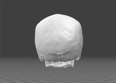 Human Skull Male Age 32 3d Model Cgtrader