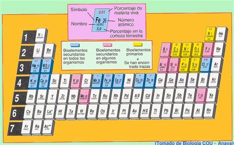 Elementos Químicos Que Forman El 99 De La Materia Viva Material Colección