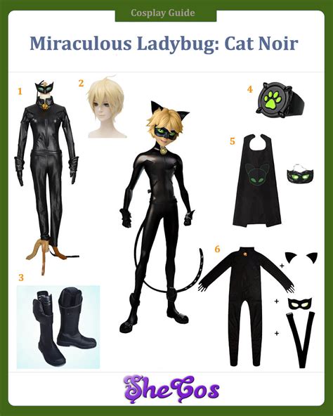 Cat Noir From Miraculous Ladybug Costume Carbon Costume Diy Dress The