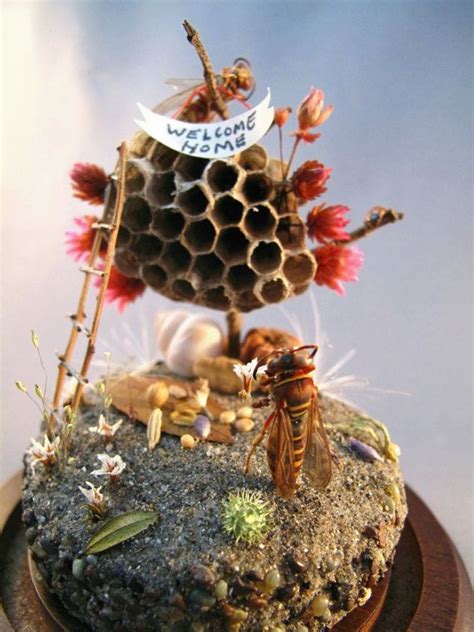 Wasp Welcome Home Miniature Insect Diorama By Lisawoodcuriosities