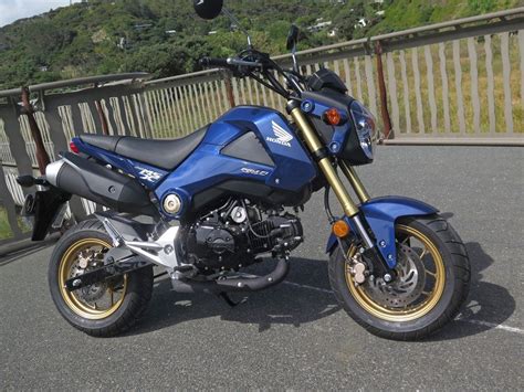 Original Model Honda Grom In Metallic Blue Colour