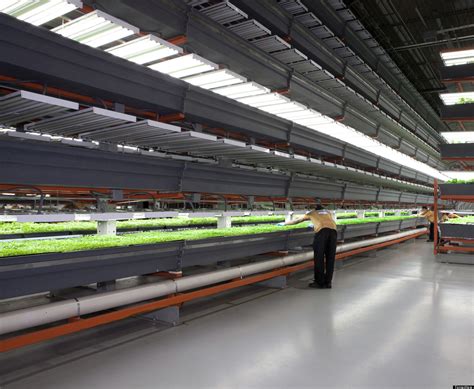 Farmedhere Nations Largest Indoor Vertical Farm Opens In Chicago