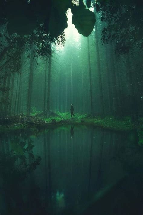 Browse landscape pictures from around the world, including mountains, seascapes, forests, deserts and a lot more. Mystical (With images) | Adventure aesthetic, Dark green ...