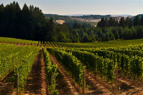 Sale Best Wineries In Southern Oregon In Stock