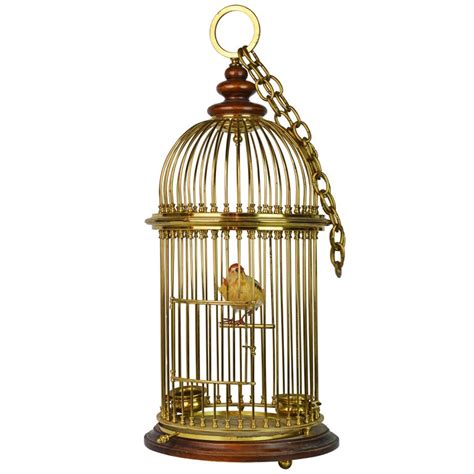 Old Fashioned Vintage Bird Cage Ubicaciondepersonascdmxgobmx