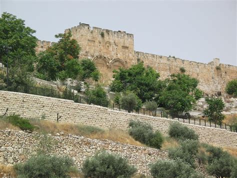 بيت المقدس، القدس الشريف، أولى القبلتين، وفي الكتاب المقدس باسم أورشليم، وتسميها إسرائيل. القدس الشريف-القدس: باب الرحمة -الباب الذهب /11962- فلسطين في الذاكرة