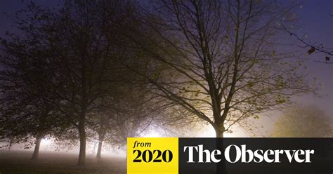 The Best Recent Thrillers Review Roundup Crime Fiction The Guardian