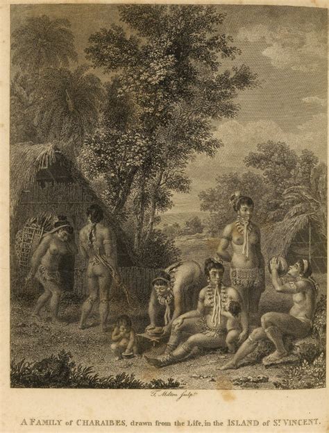 Representations Of Indigenous People Carib Customs Early Caribbean