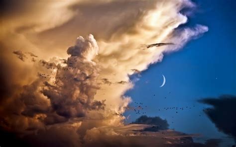 Nature Sky Clouds Billow Soft Thunderhead Moon Cresent Animals Birds