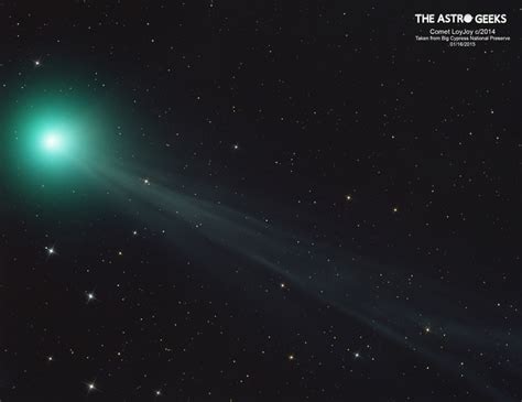 Comet Lovejoy C2014 From Big Cypress National Preverve Sky
