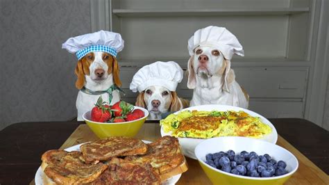 Dogs Cook Breakfast Tasty Breakfast Ideas Wfunny Dogs Maymo Penny