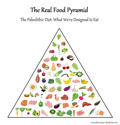 Department of agriculture's updated guide to better nutrition. The Real Food Pyramid: What We're Designed to Eat