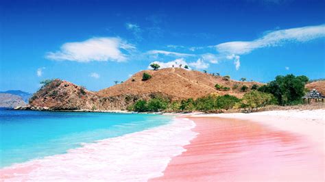 Komodo Island Pink Beach