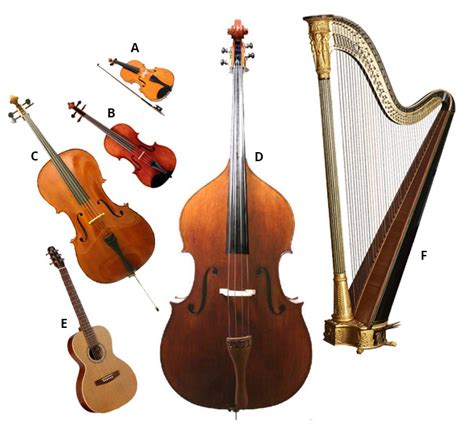 Types Of Stringed Instruments With Pictures Kerydirty