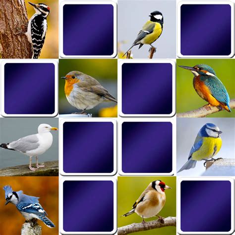 Play Matching Game For Adults Common Birds Online And Free Memozor