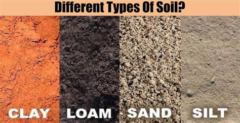 Different Types Of Soil Engineering Discoveries