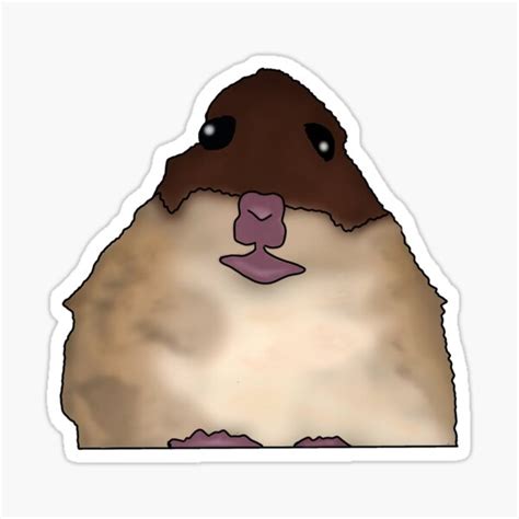 Facetime Hamster Sticker For Sale By Triovisuals Redbubble