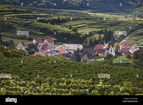 Small German Village With A Church Surrounded By Vineyards V