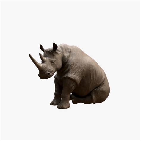 Rhinoceros 3d Models For Download Turbosquid