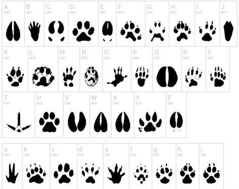 Animal Tracks Hand And Footprints Dingbat By Huellas De