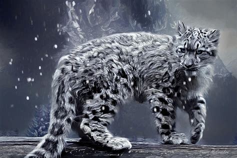 Snow Leopard Digital Art By Pennie Mccracken Fine Art America