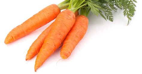 If you plant all of the carrots you just harvested, then your next harvest will be up to 25 carrots. How Do You Know When Carrots Are Ready to Harvest?