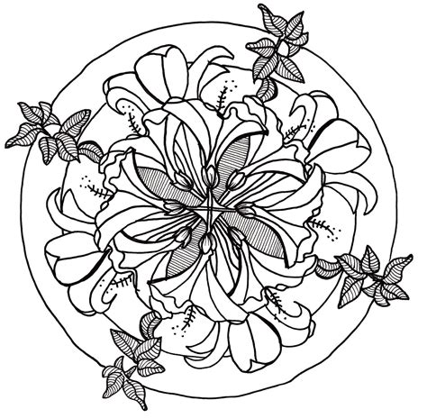 Line Drawing Flowers Lilyhibiscus Mandala Line Drawing Flowers