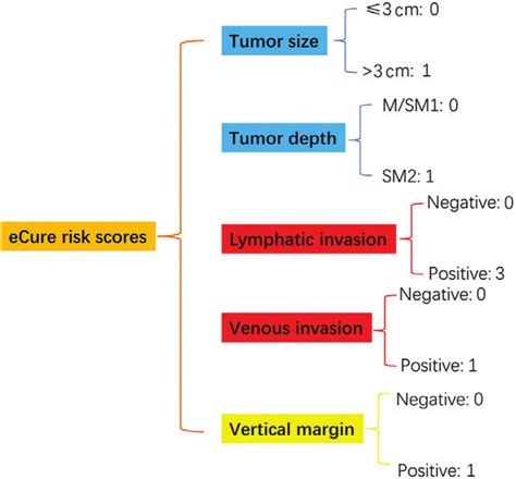 Risk Scores And Classification Of Lymph Node Metastasis For Early
