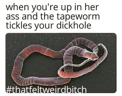 Tapeworm On Tumblr