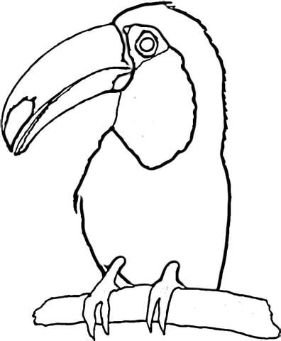 With such large beaks, they sure are characters. 9 Best Images of Free Printable Toucan Craft - Rainforest ...